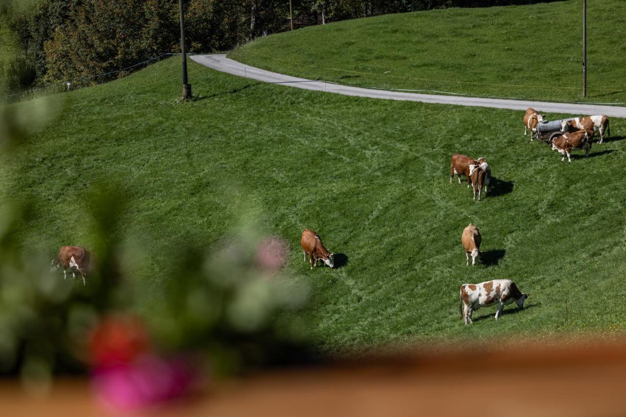Bergbauernhof Schoberlehen Vakantieboerderij *